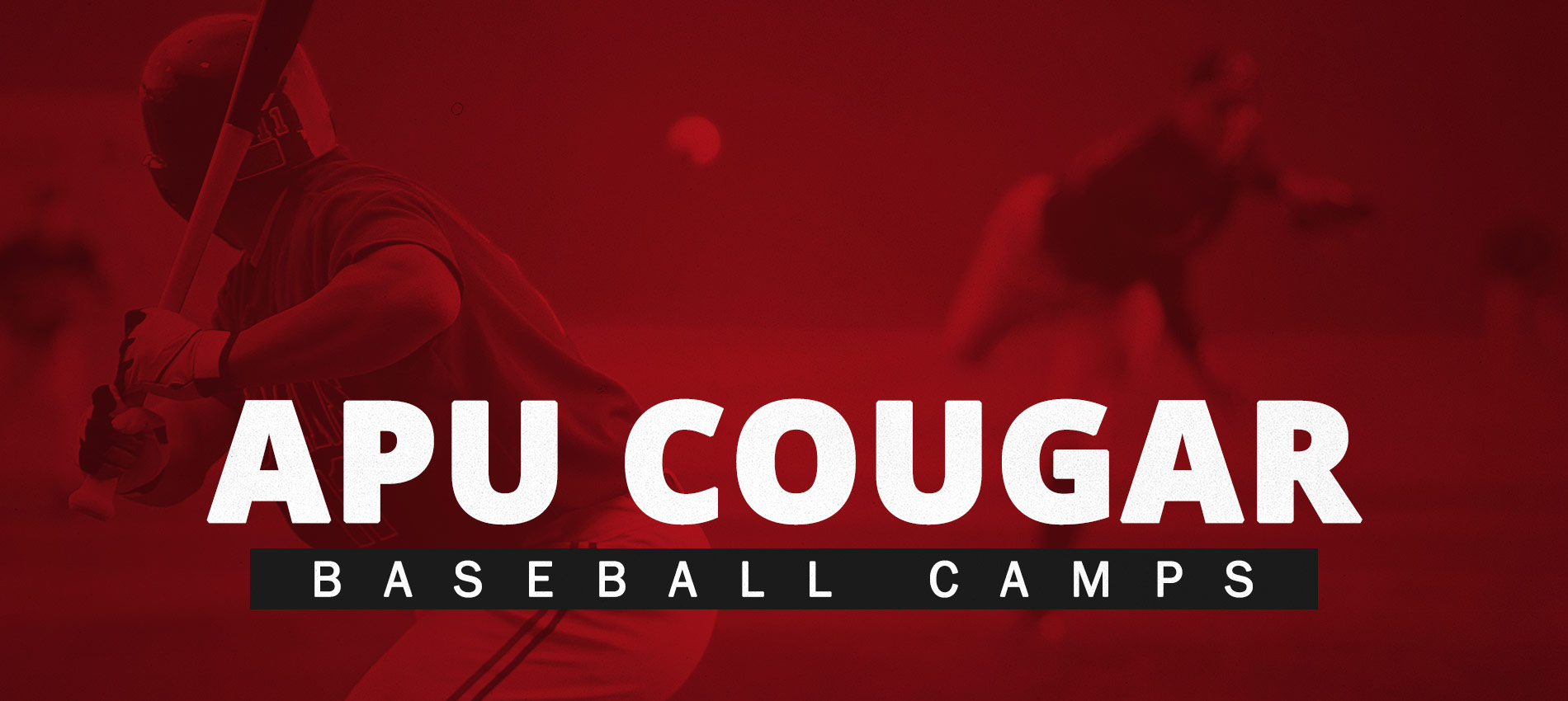 APU Cougar Baseball Camps